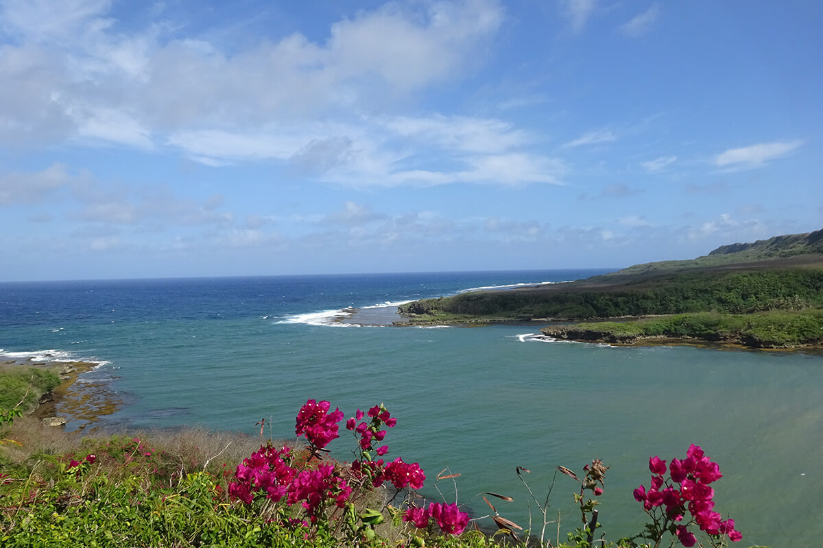 社内やイベントでの風景写真